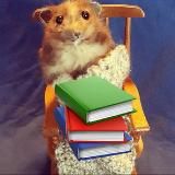 Уютный разбирает | Инвестиции