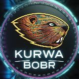 KURWA $BOBR [new $DOGE on TON]
