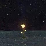 نور على نور