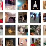 Магическая битва