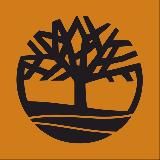 Timberland Uzbekistan