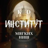 Институт Мягких Ниш