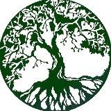 Милости с AliExpress