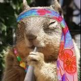 Запахи травки в неожиданных местах