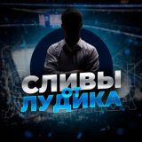 Сливы от Лудика