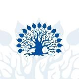 КубГУ | kubsunews