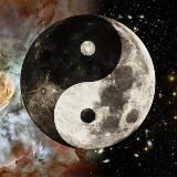 Bushwacker. Культурно-исторические развлекательные стримы.