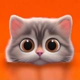 КотоМания