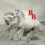 Весь✍️ВЫСОЦКИЙ