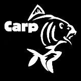 Carp