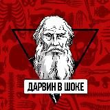 Дарвин в шоке